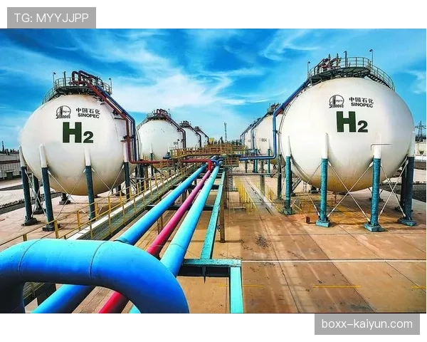 “碳中和球场”倡议遇阻：可再生能源供应与高昂的草坪维护系统存在矛盾